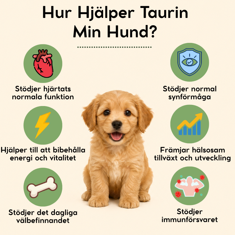 SE - Petnari Taurin för Hundar