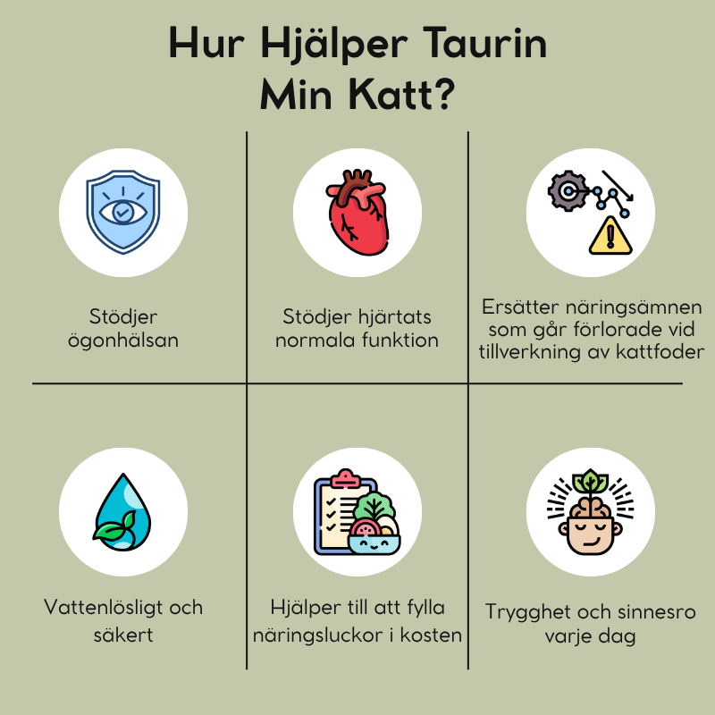 Taurin för Katter - SE